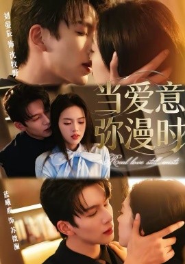 备份在替我决定