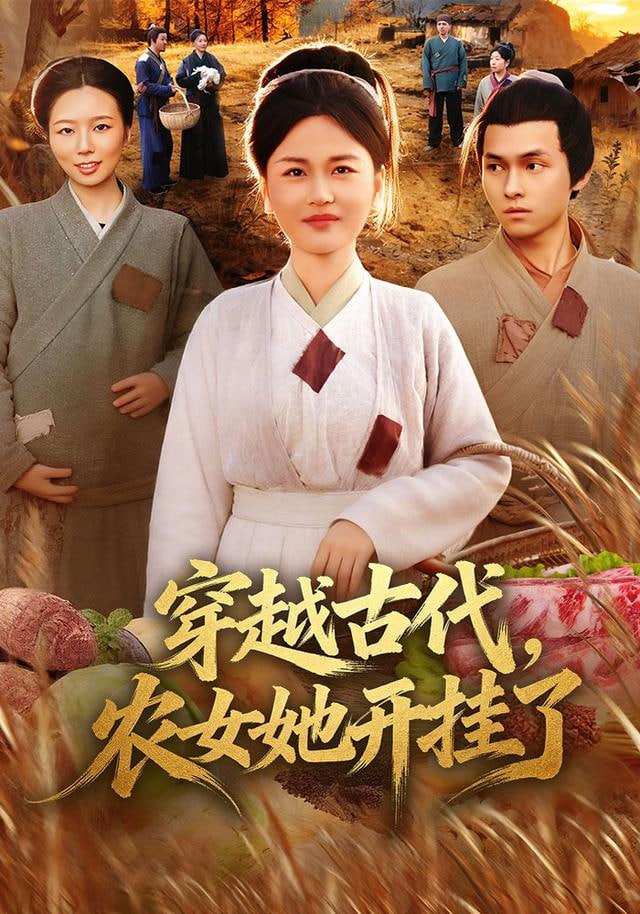 冰原记录者 电影海报